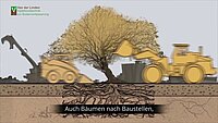 Terra Fit - Baum Film van der Linden
